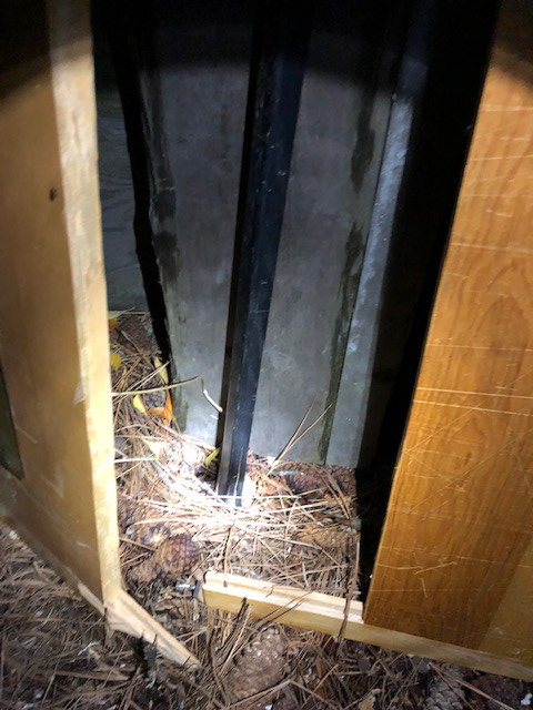 Photo by Jodie Morrison of Kingsway Van Lines Inc - Large