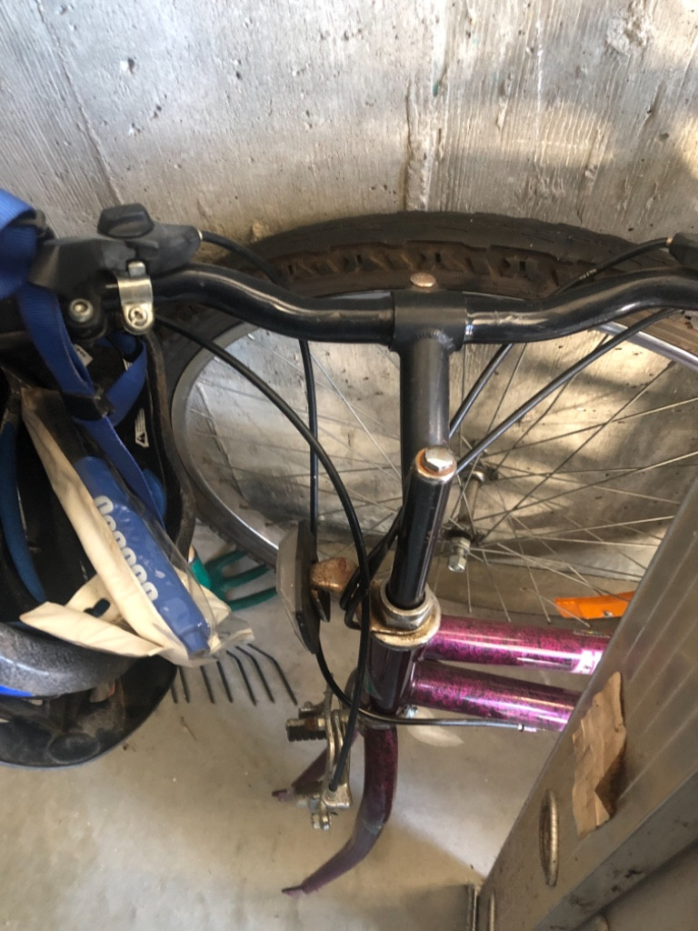 Photo by Colleen Murray of Bekins Kelowna - Large