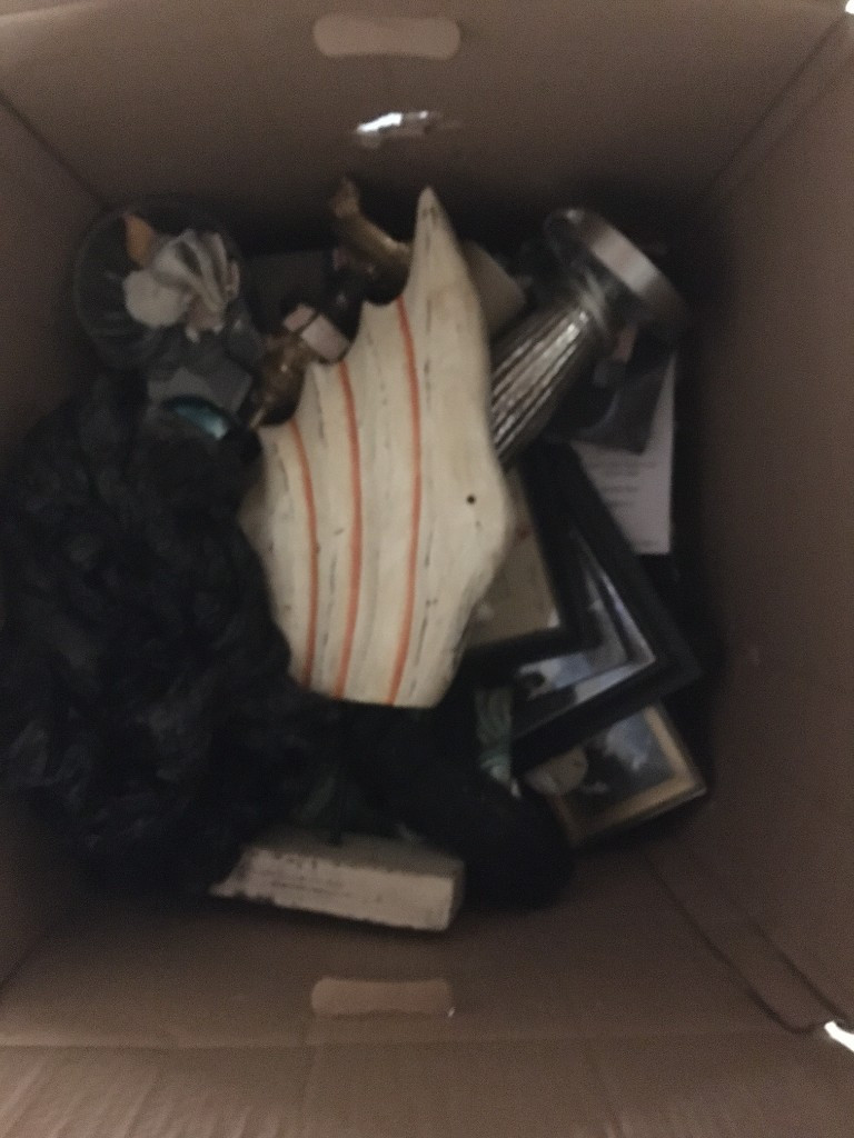 Second photo by Robert Liberman of Always Moving Inc. - Large