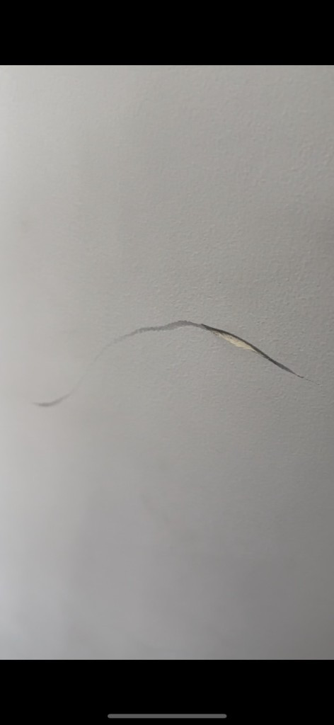 Second photo by Sally Penman of Auckland Wide Movers - Large