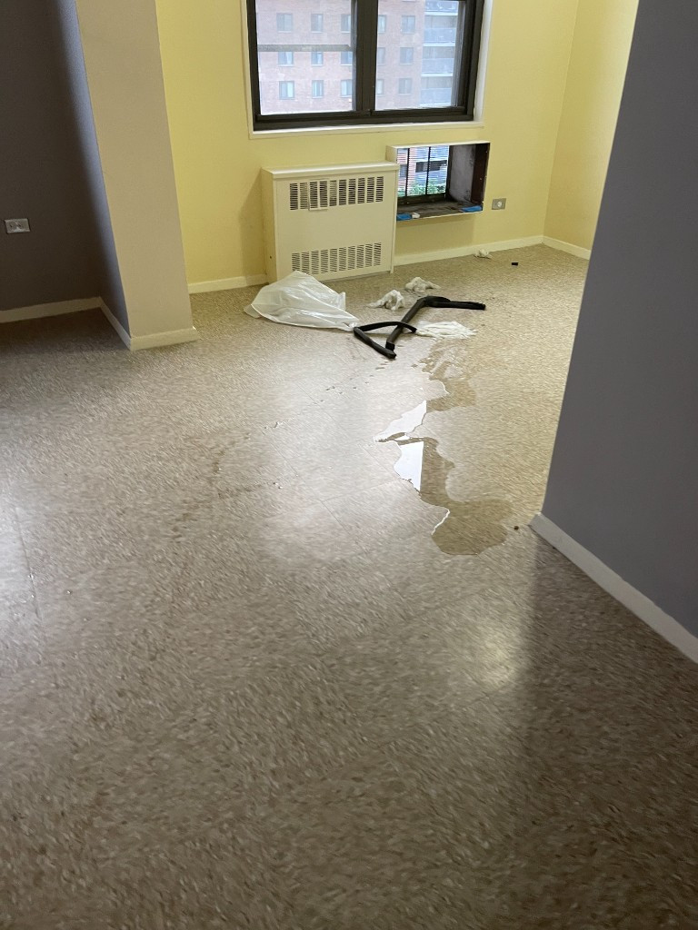 Photo by Leigh Klein of Allegiance Moving and Storage LLC - Large