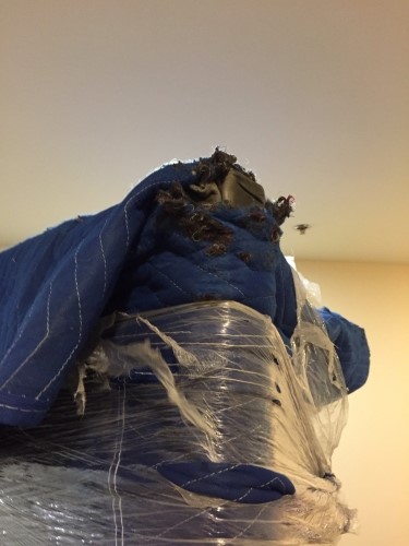 Second photo by Daryl Hersch of All Services Movers - Large