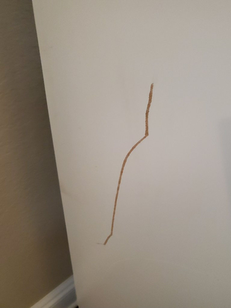 Photo by Brad Hurley of Gateway Express Moving - Large