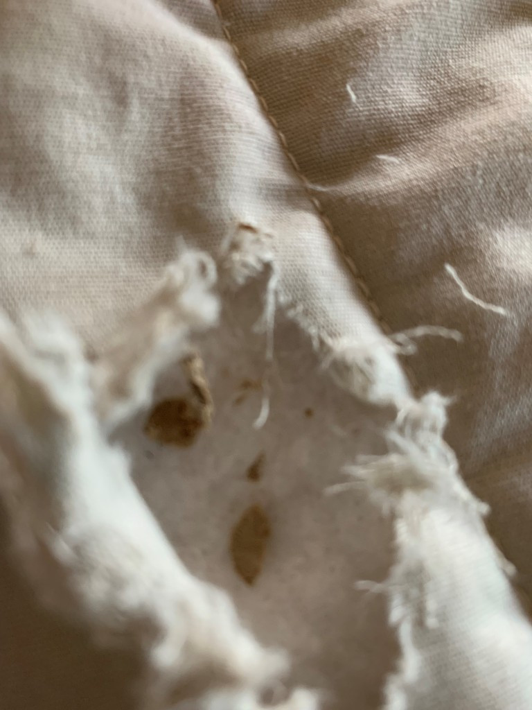 Second photo by Nora Perry of Points West Moving - Large