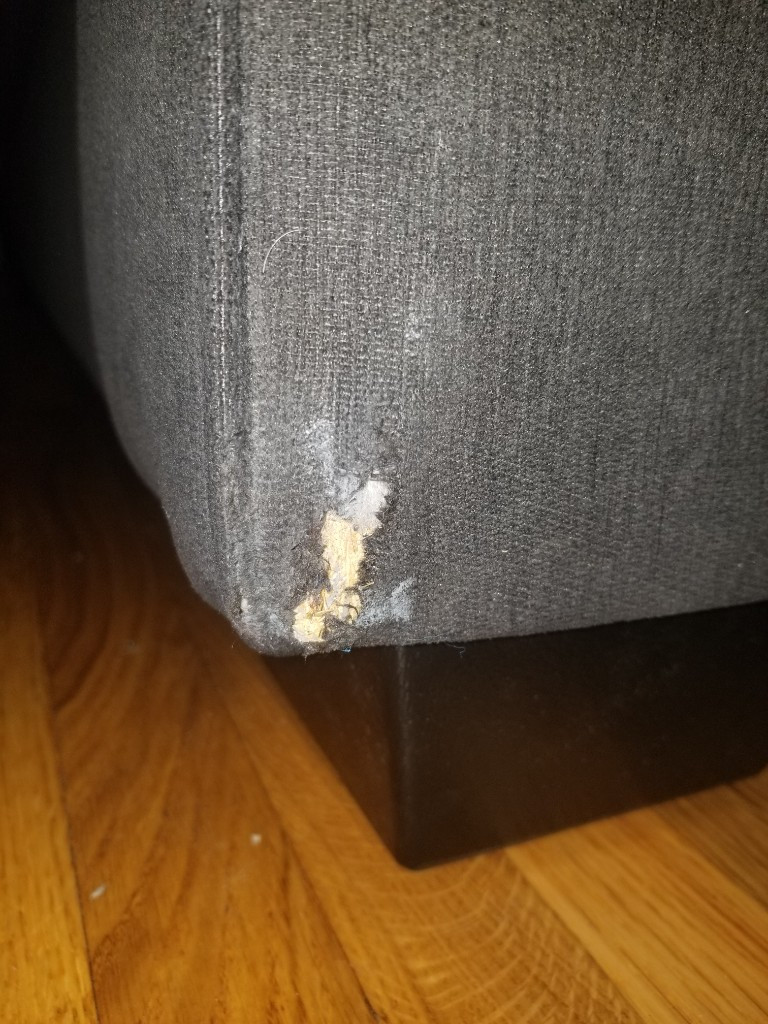 Second photo by Eric Brown of CR7 Moving and Storage - Large