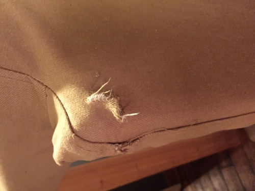 Second photo by Phil Mardlin of Translink Removals - Large