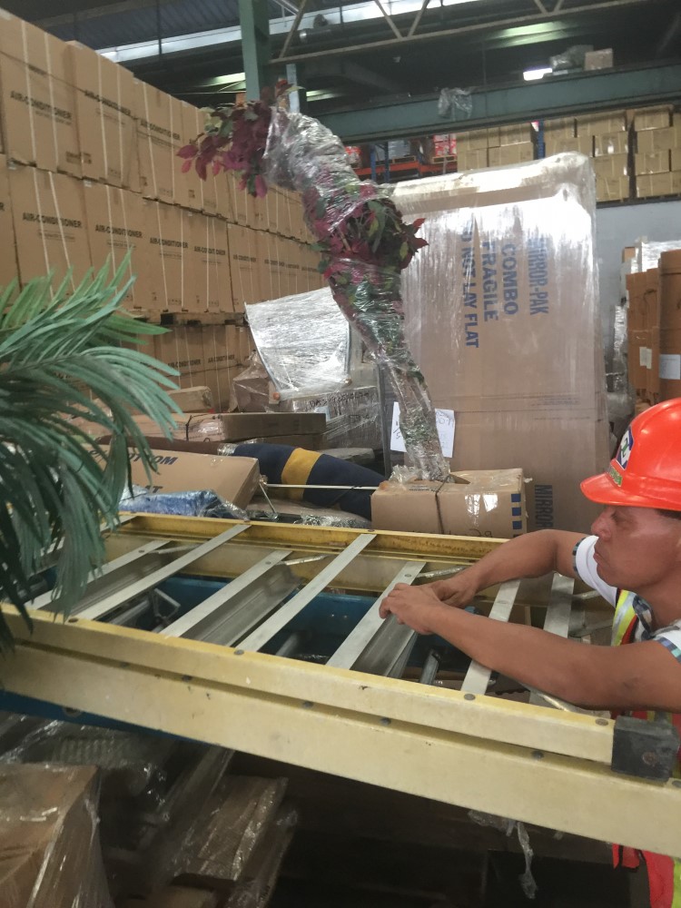 Photo by Erwin Von Metzger of CFR Rinkens - Large