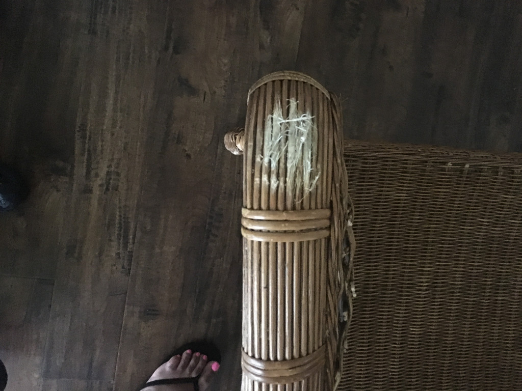 Second photo by Chidi Emeka of East Coast Moving Inc - Large