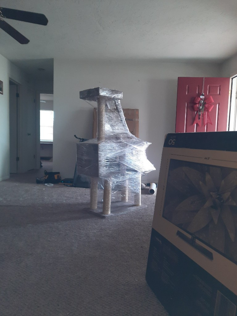 Second photo by Ann Mcgee of Five Star Moving Company - Large