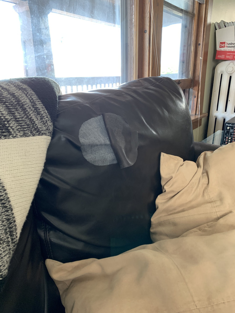 Second photo by Cathy Lynch of Matt's Moving - Large