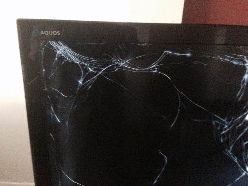 Photo by Niti of In and Out Moving & Storage, Inc. - Large