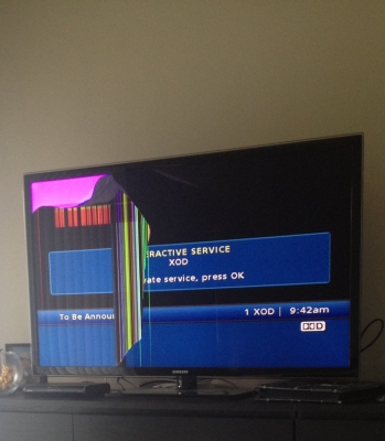 Photo by Carolina of All USA Van Lines - Large