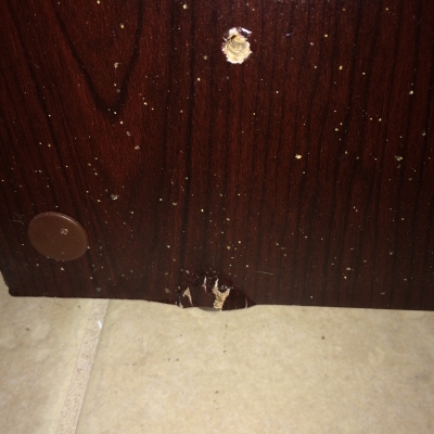 Photo by Cinnamon White of U Pack - Large