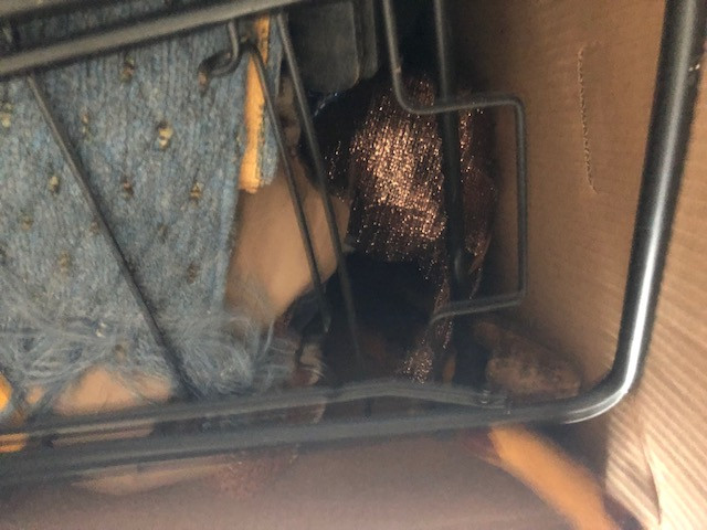 Photo by William Fleming of True Maple Moving - Large