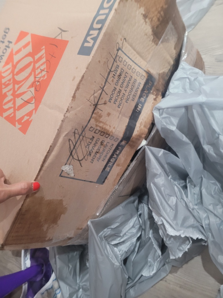 Second photo by Terene Sanders of Orange Movers - Large