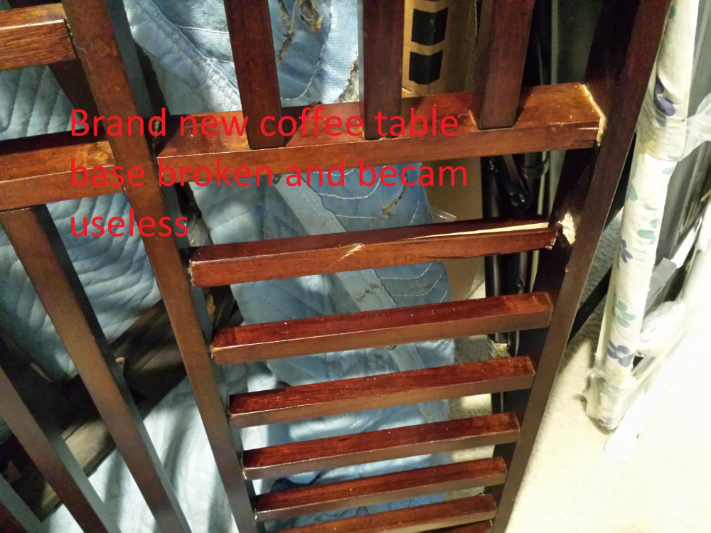 Photo by Farhoud Kabirian of 1st Generation Moving - Large