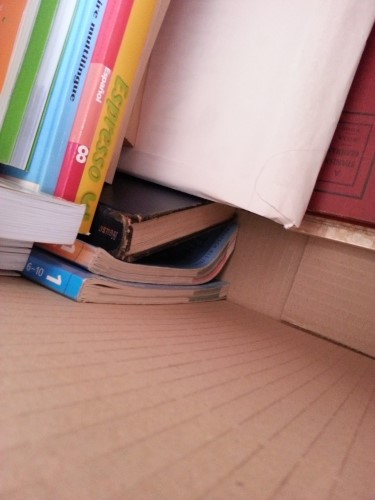 Photo by Blanca of Grace Removals Group - Large