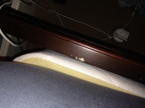 Second photo by Josh Landsberger of Here to There Movers - Large