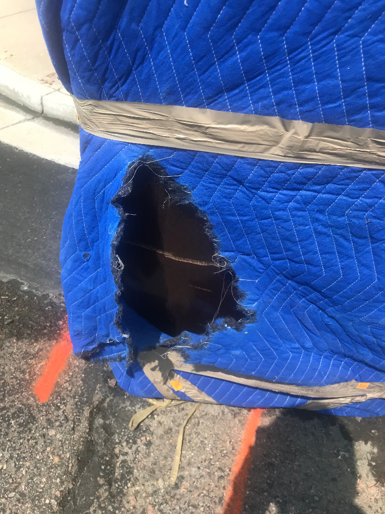 Photo by Paul D Ru of Always Moving Inc. - Large