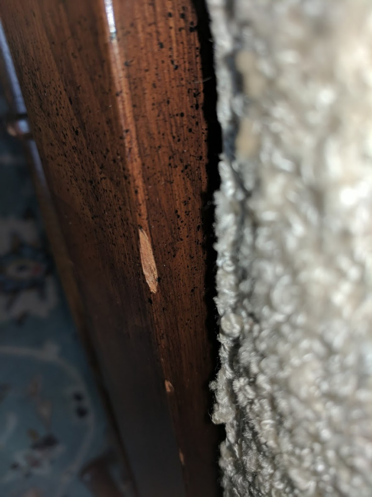 Second photo by Toni Wein of Courtesy Moving and Storage - Large