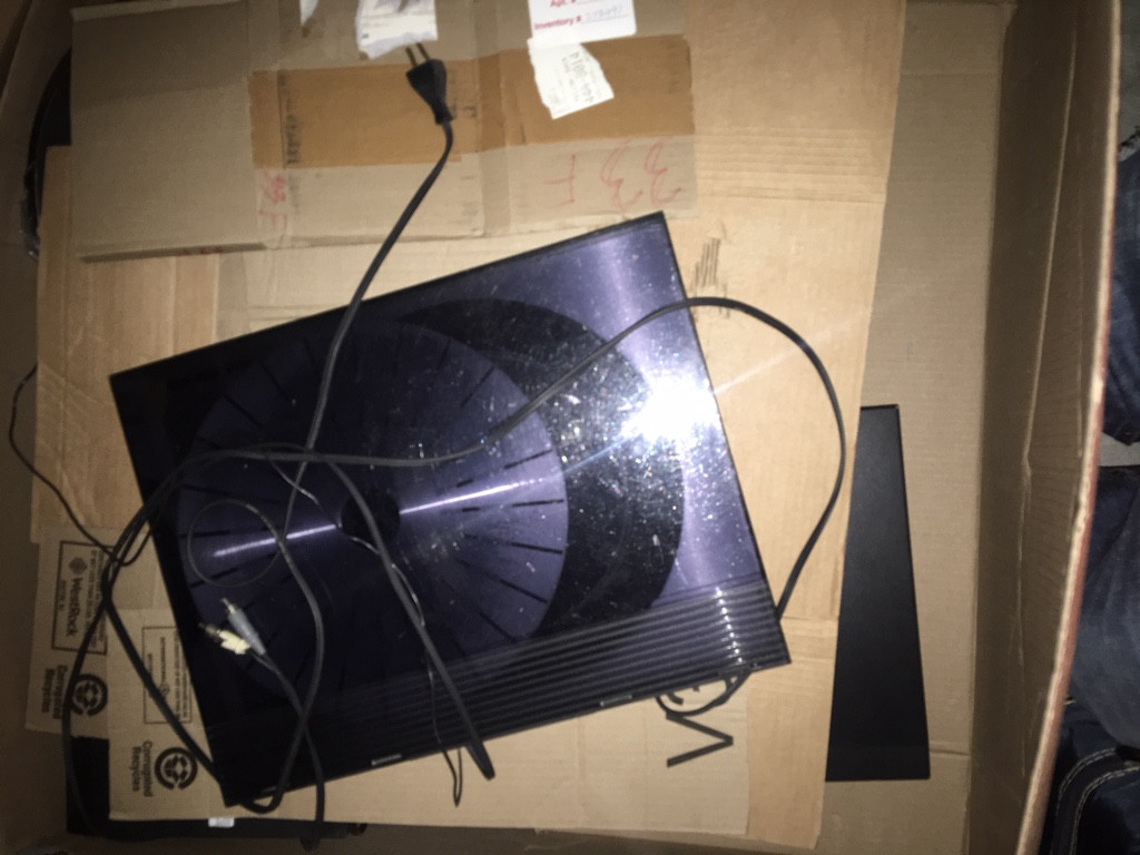 Photo by Kevin Haynes of Dumbo Moving and Storage - Large