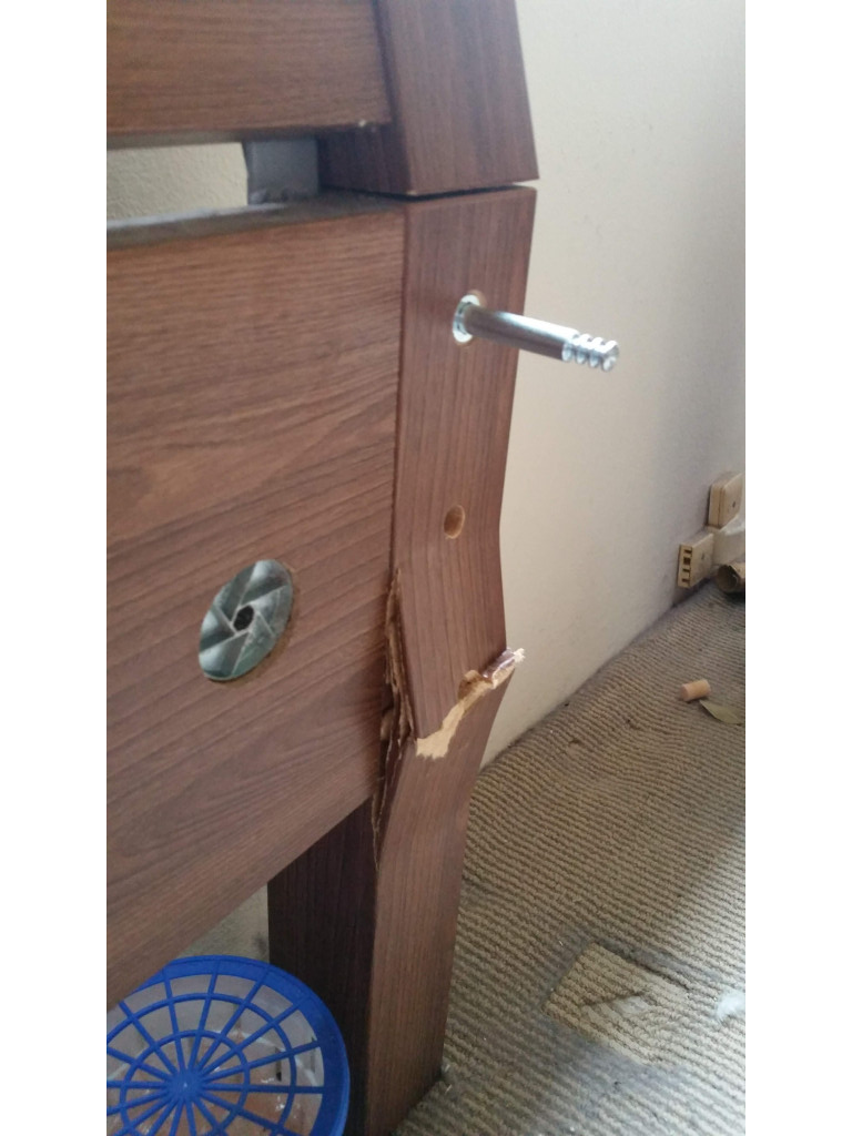 Photo by Orion Mitchell of Metro Movers - Large