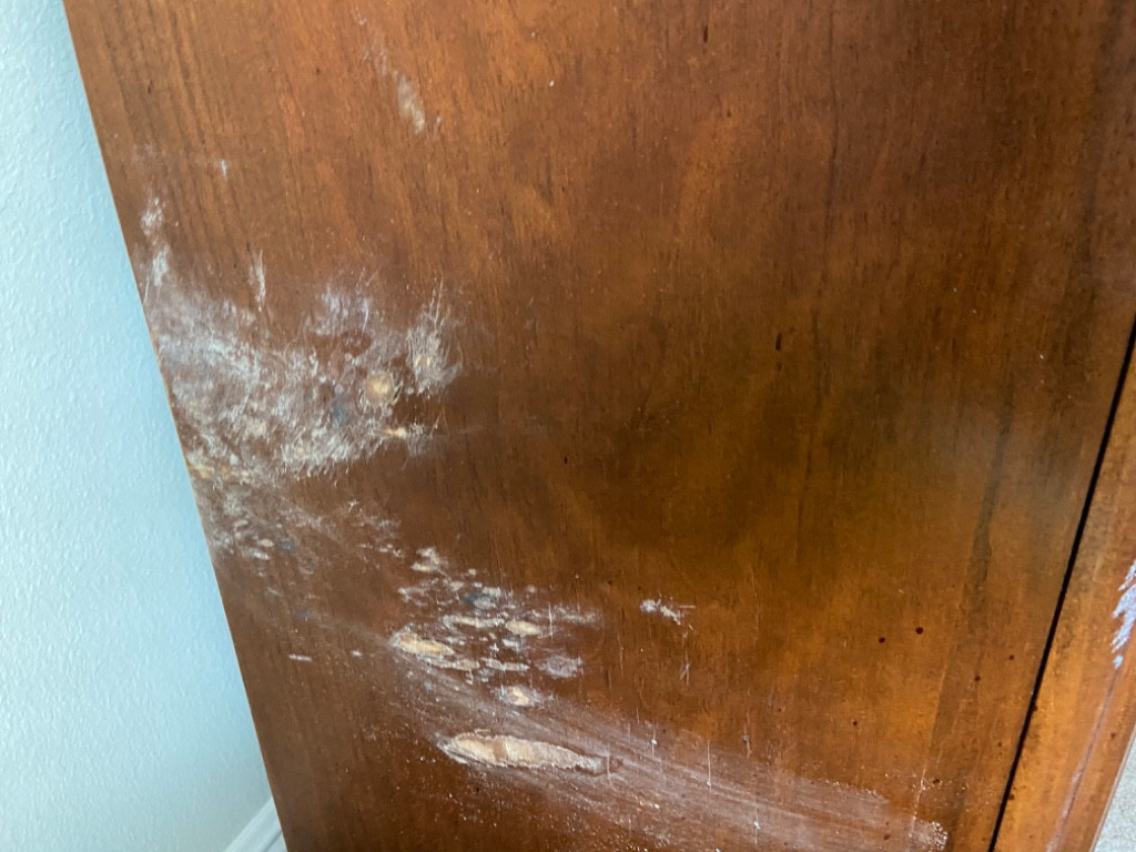 Photo by Pam Ware of Moving Staffers - Large