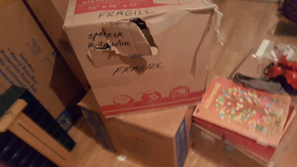 Photo by Daniel Carpenter of Golden Glove Movers - Large