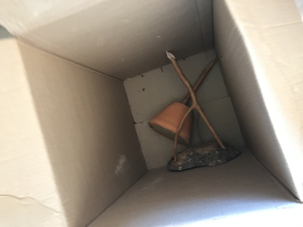 Photo by Erik Ficke of Liberty Moving Group - Large