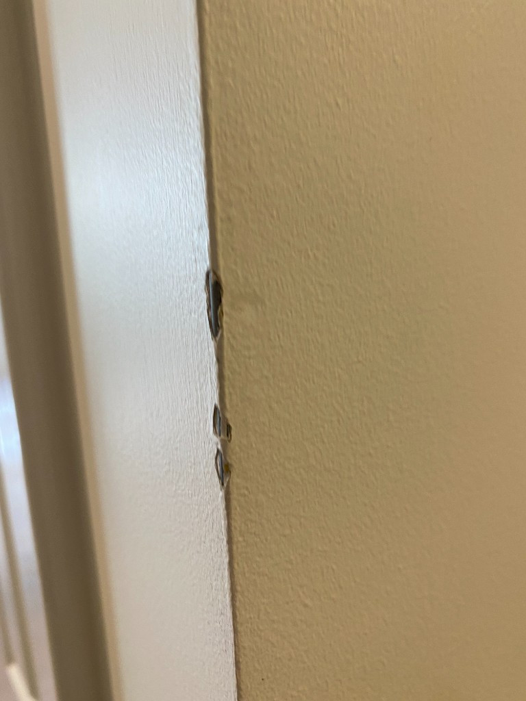 Second photo by Jane Kelly of Full Nation Moving LLC - Large