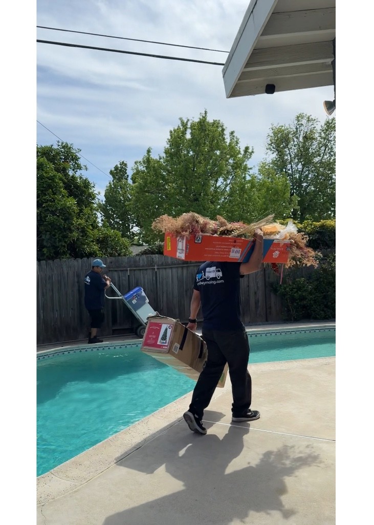 Second photo by Annabelle Hooper of Roadway Moving - Large