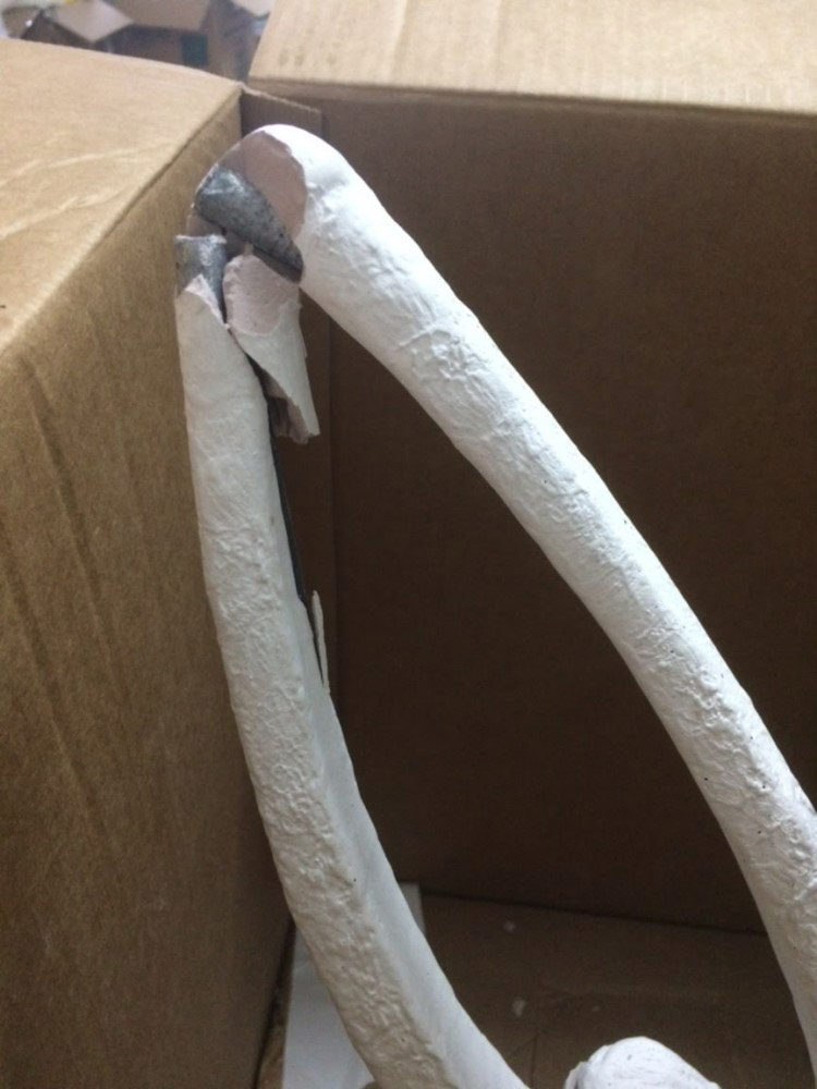 Photo by Alex Neyman of Elite Moving & Storage Inc. - Large