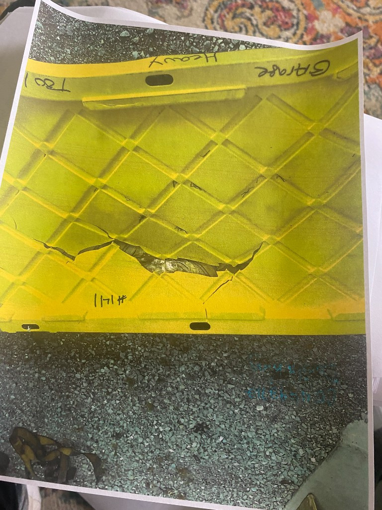 Photo by Danita King of California Exodus Moving and Storage LLC - Large