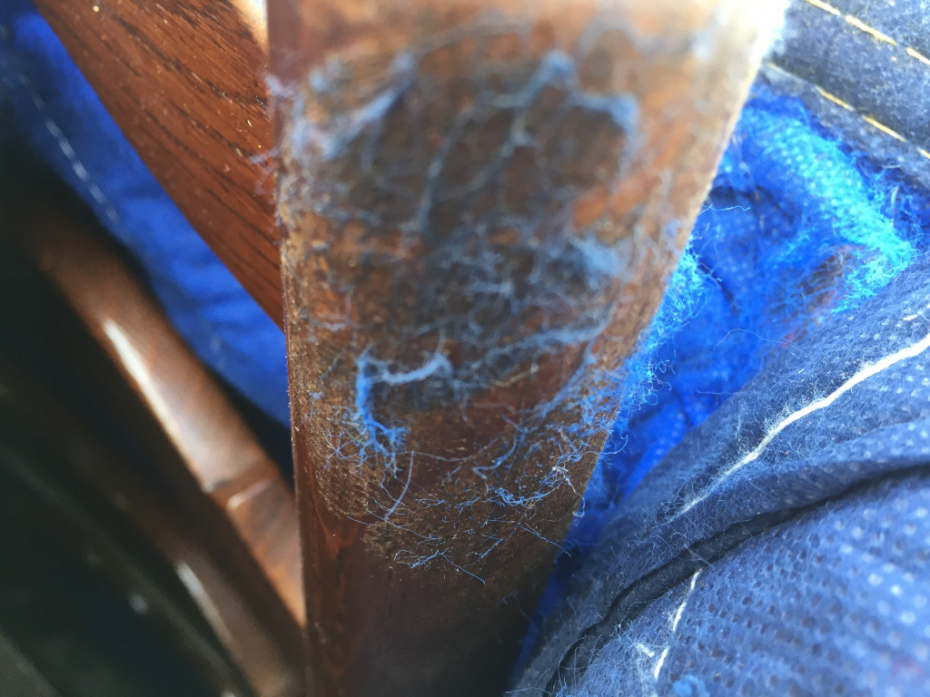 Second photo by Carol A Mrowka of Rayan Van Lines - Large