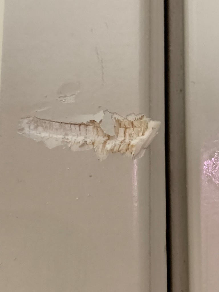 Second photo by Scott Argent of 2 Burley Men Moving - Large