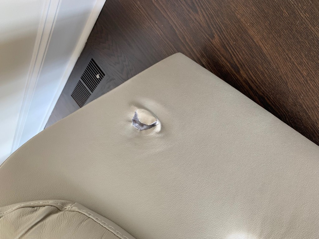 Second photo by Ravi Gokyada of Evergreen Van Lines - Large