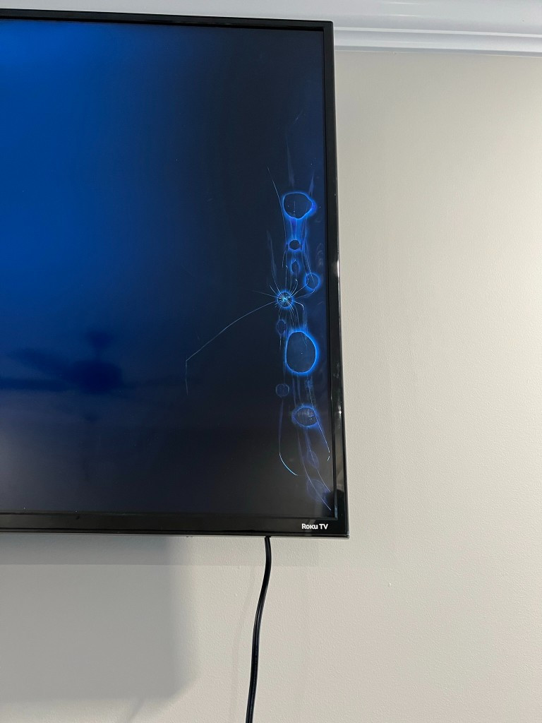 Photo by Roshanda Odom of All Mighty Movers - Large