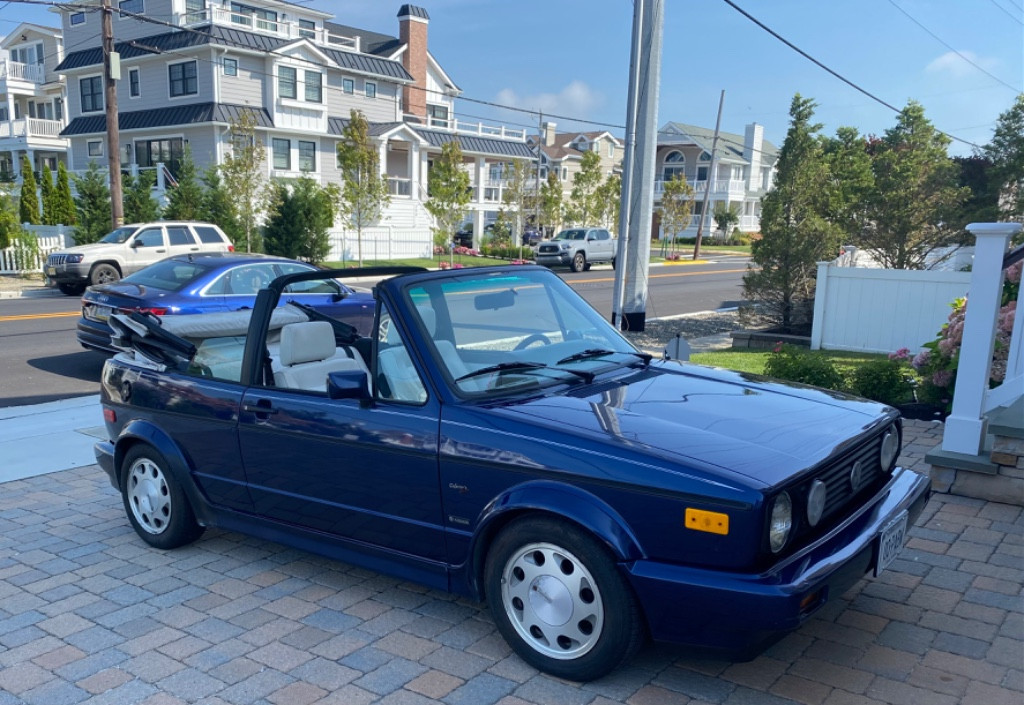 Photo by Lauren Bellis of Safeeds Transport Inc - Large