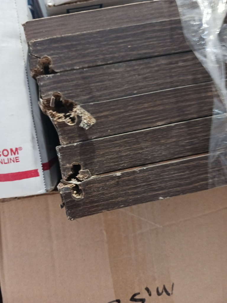 Second photo by Rebecca Clum of All Season Van Lines LLC - Large