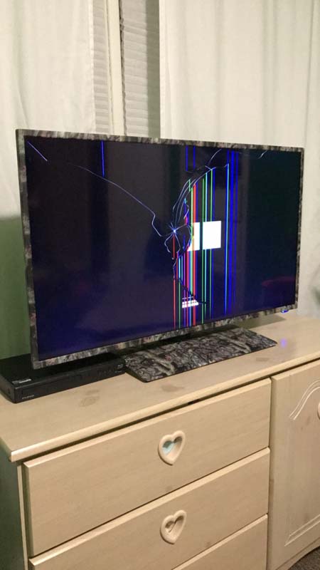 Photo by Amber Owens of Suddath - Large