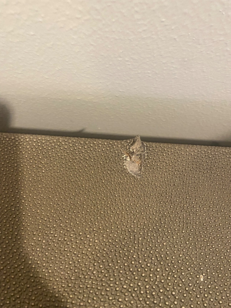 Photo by Connor Harl of Safe Ship Moving Services - Large