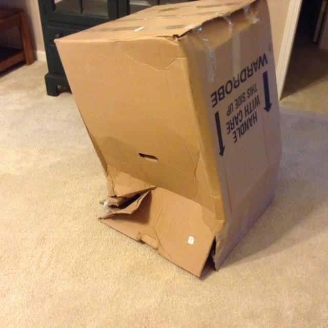 Photo by Julia Tresh of Gateway Express Moving - Large