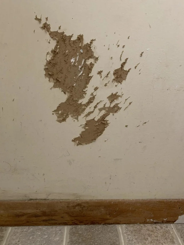 Photo by Marco Rodriguez of Pack and Ship Movers LLC - Large