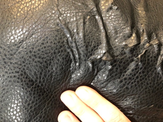 Photo by Rae Hussell of 2 Burley Men Moving - Large