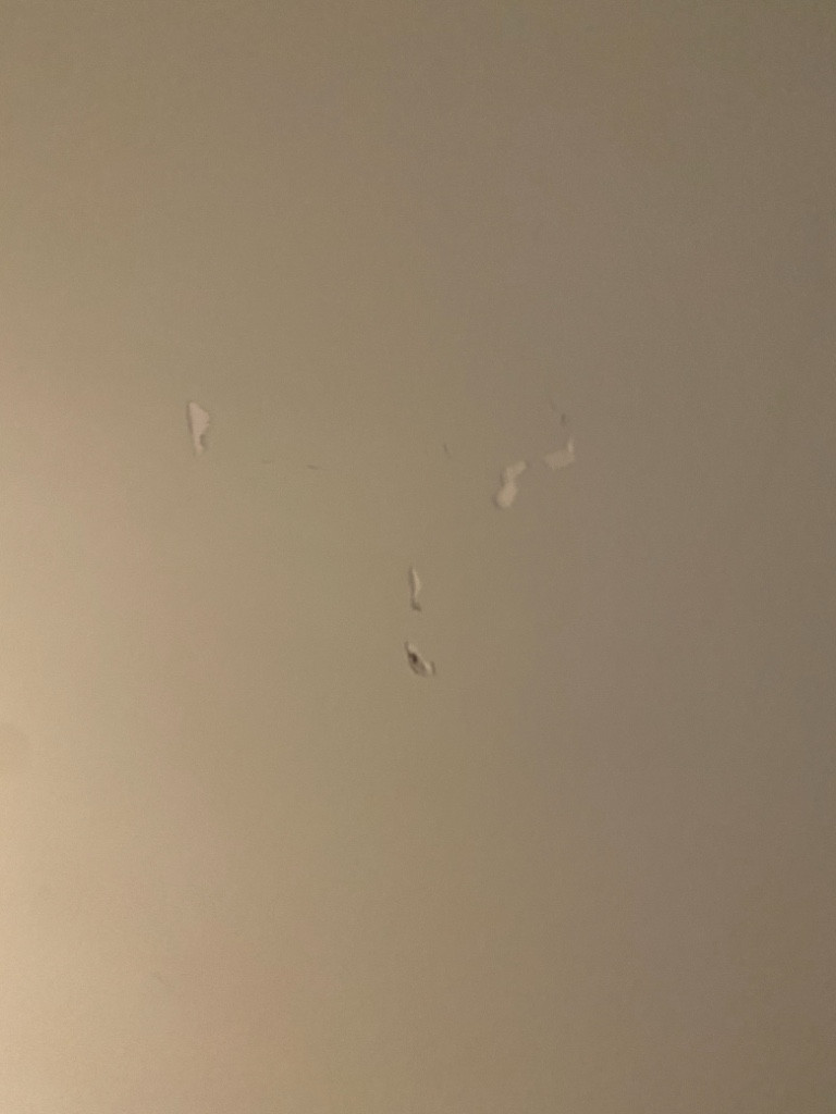 Second photo by Jennifer Hewko of Burly Boyz Moving & Storage - Large