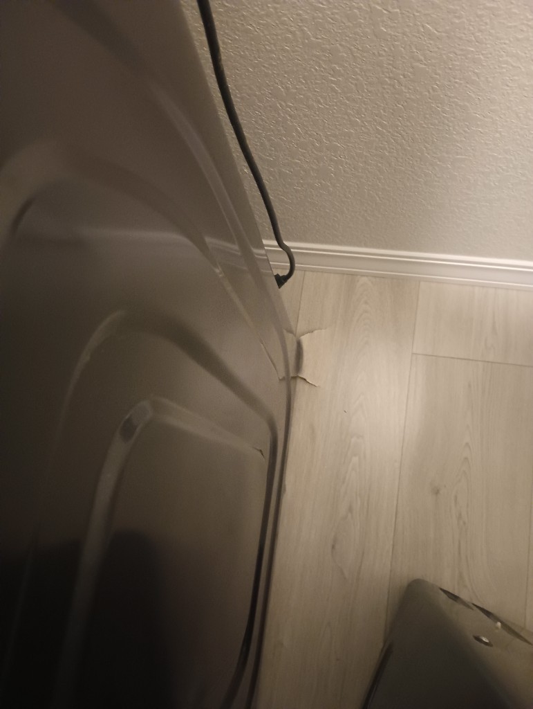 Photo by Peter Montalbano of Champion Movers - Large