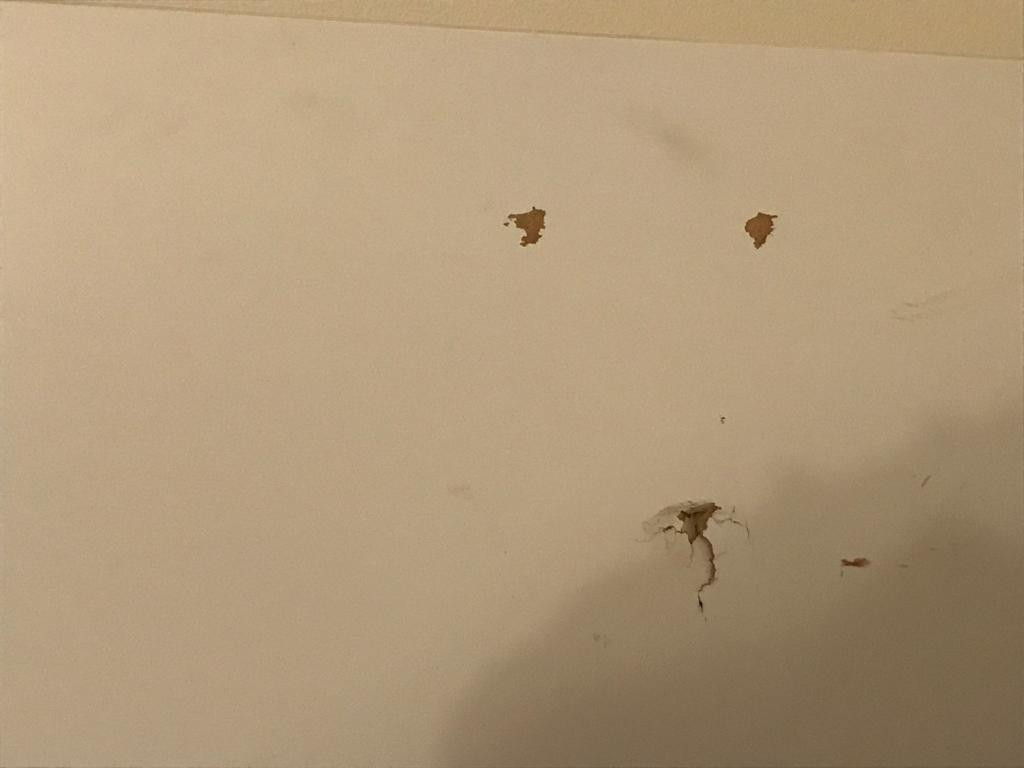 Photo by Carlos Theodorico De Frei of Golan's Moving & Storage - Large