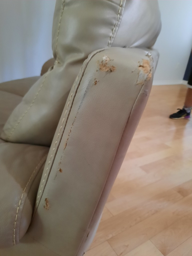 Second photo by Tracey Tucker of Number 1 Movers - Large