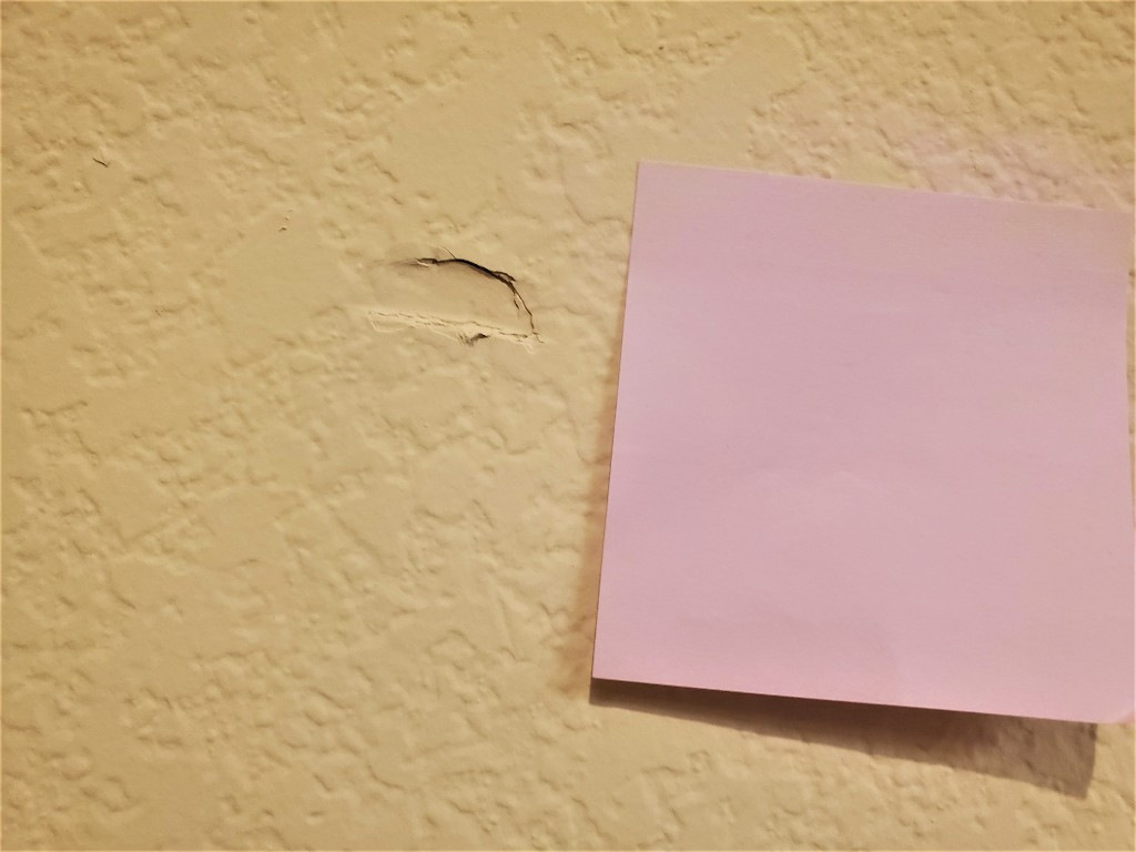 Photo by Zey Vindara of Copperstate Moving - Large