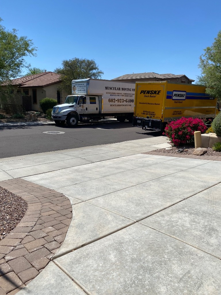 Photo by Anna Ball of Muscular Moving Men - Large